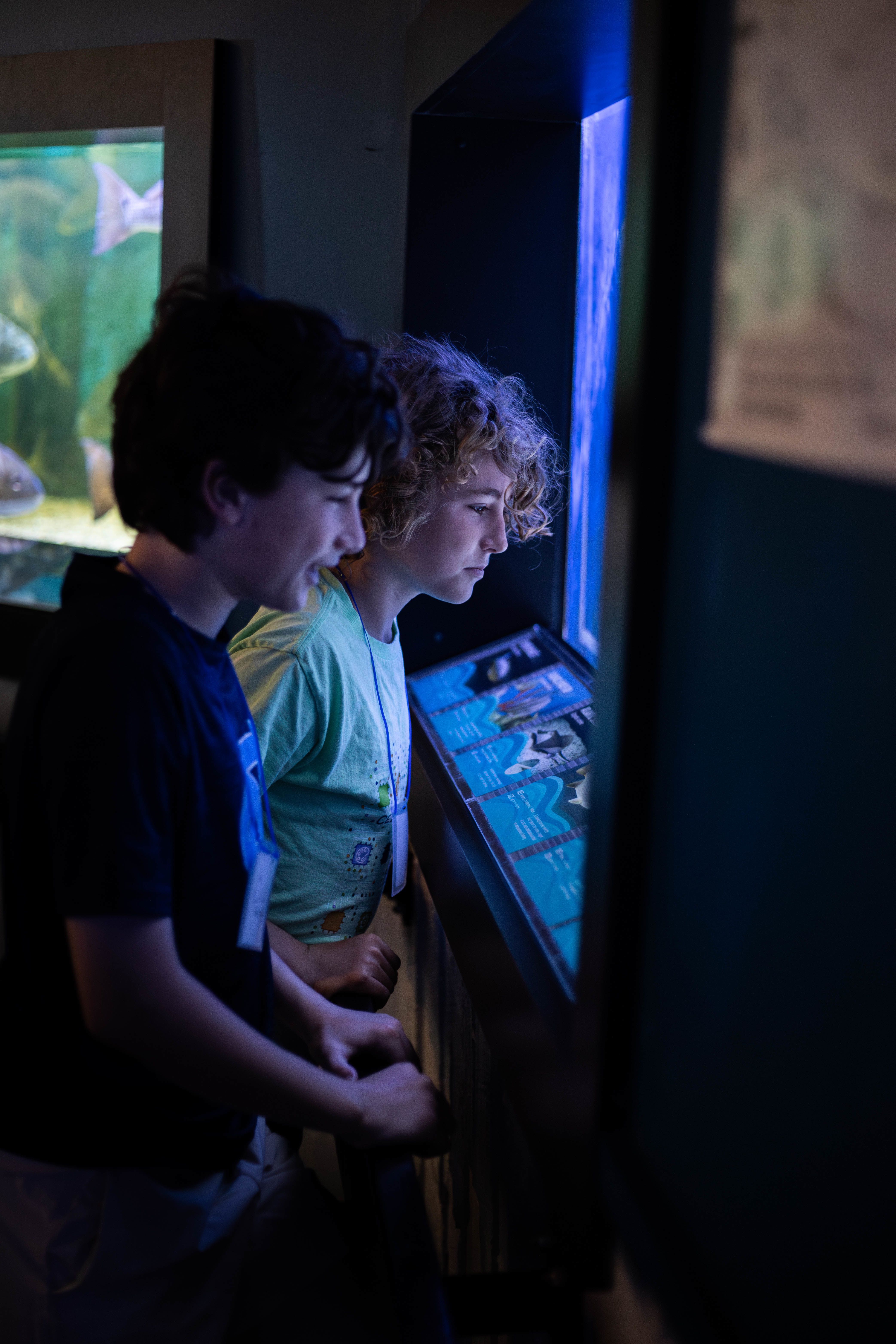 Two kids at the UGA Aquarium looking into a tank