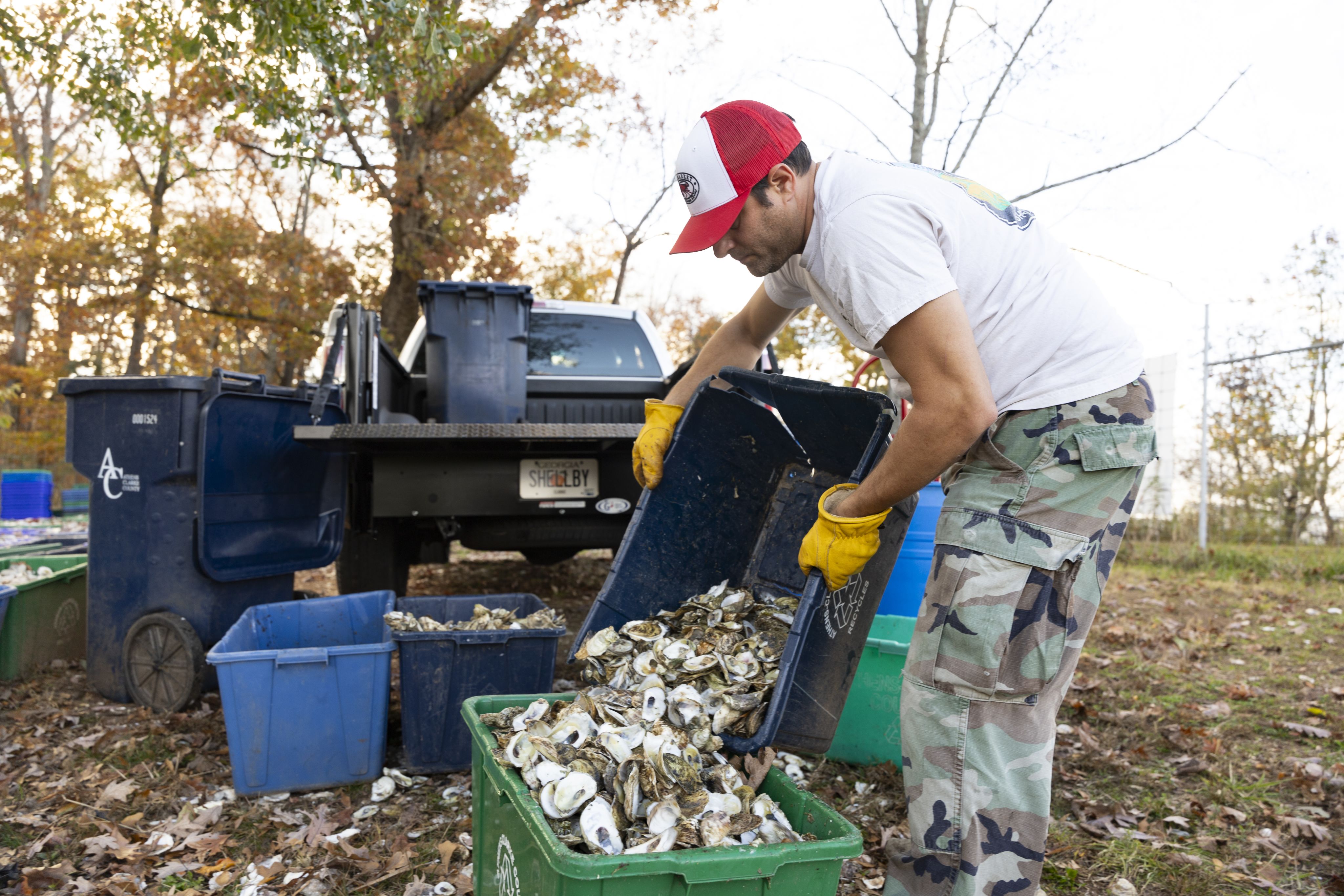 A member of Shell to Shore dumping a bin of oyster shell from the back of a truck into another bin at a recycle site