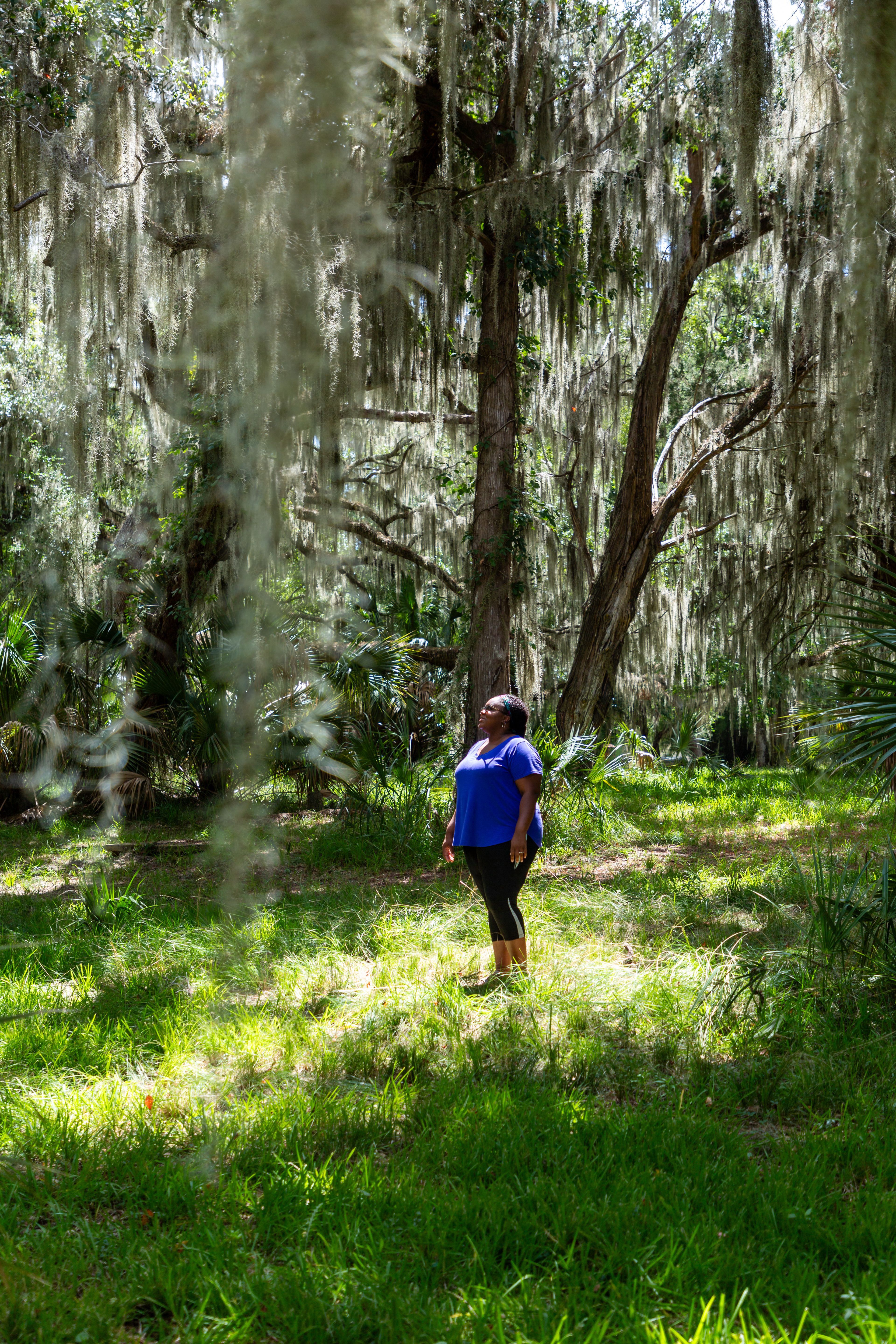 Courtney McGill standing in a field on Sapelo Island looking up at the surrounding trees