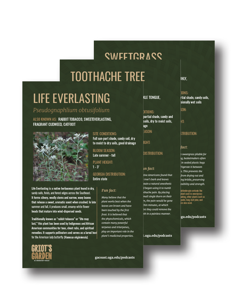 Native plant fact sheets, stacked on one another.