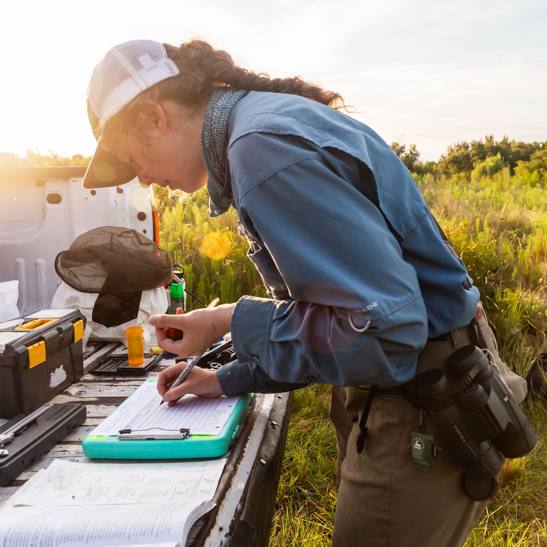 Researcher holding a small bird and writing on a clipboard on the back of a truck in a field