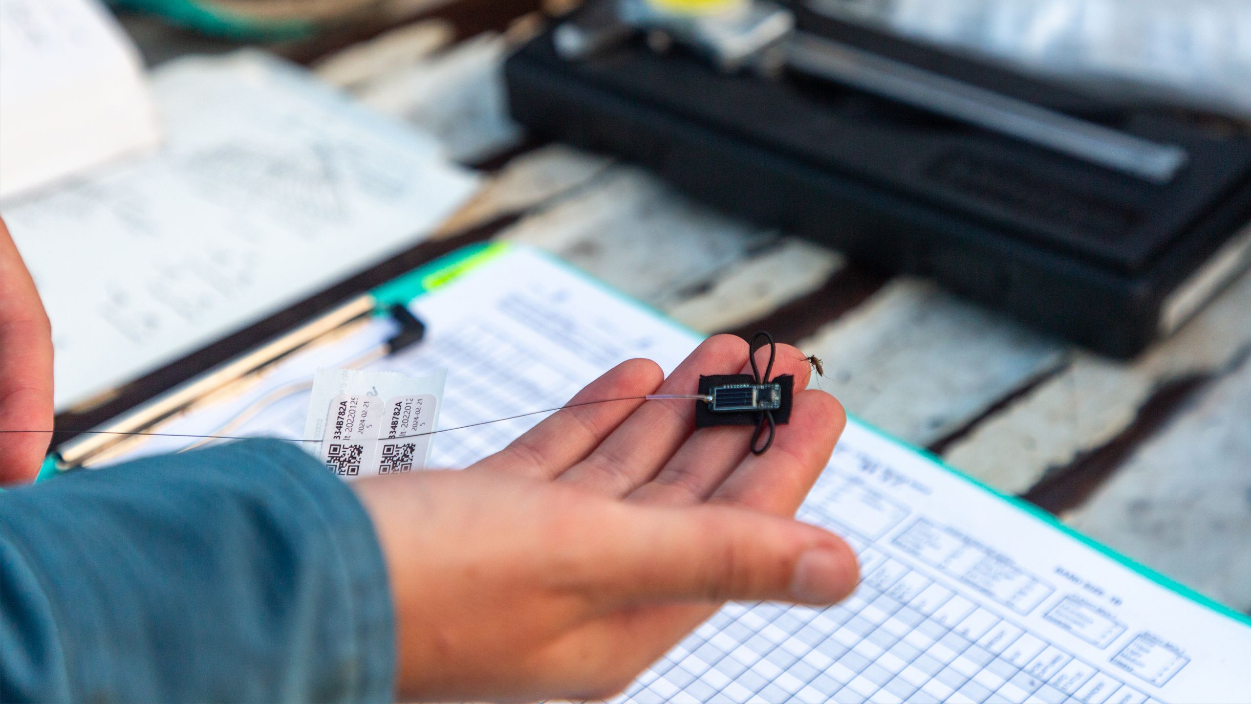 Hand holding a small radio tag