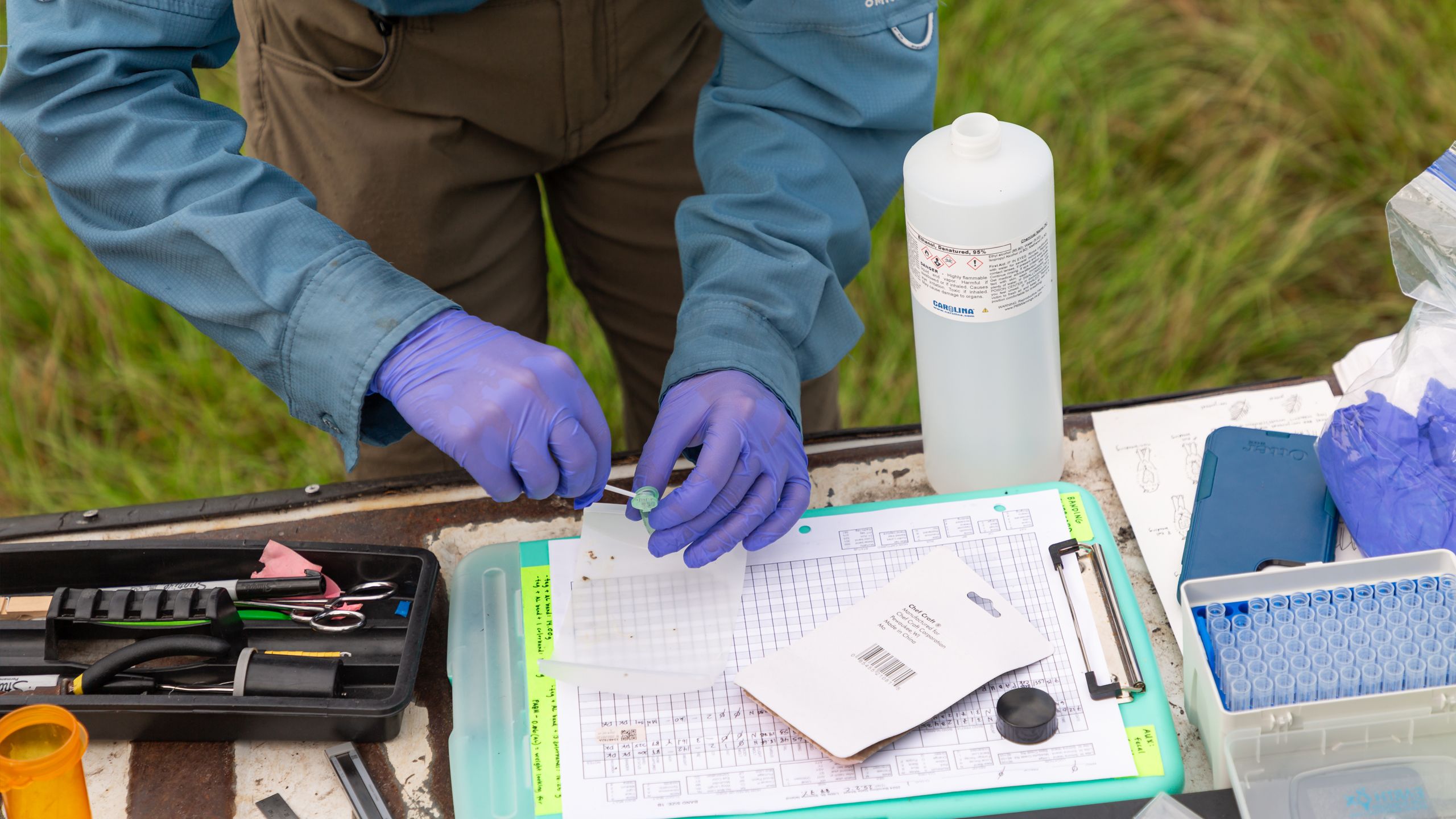 Gloved hands inserting a swab in a plastic bag