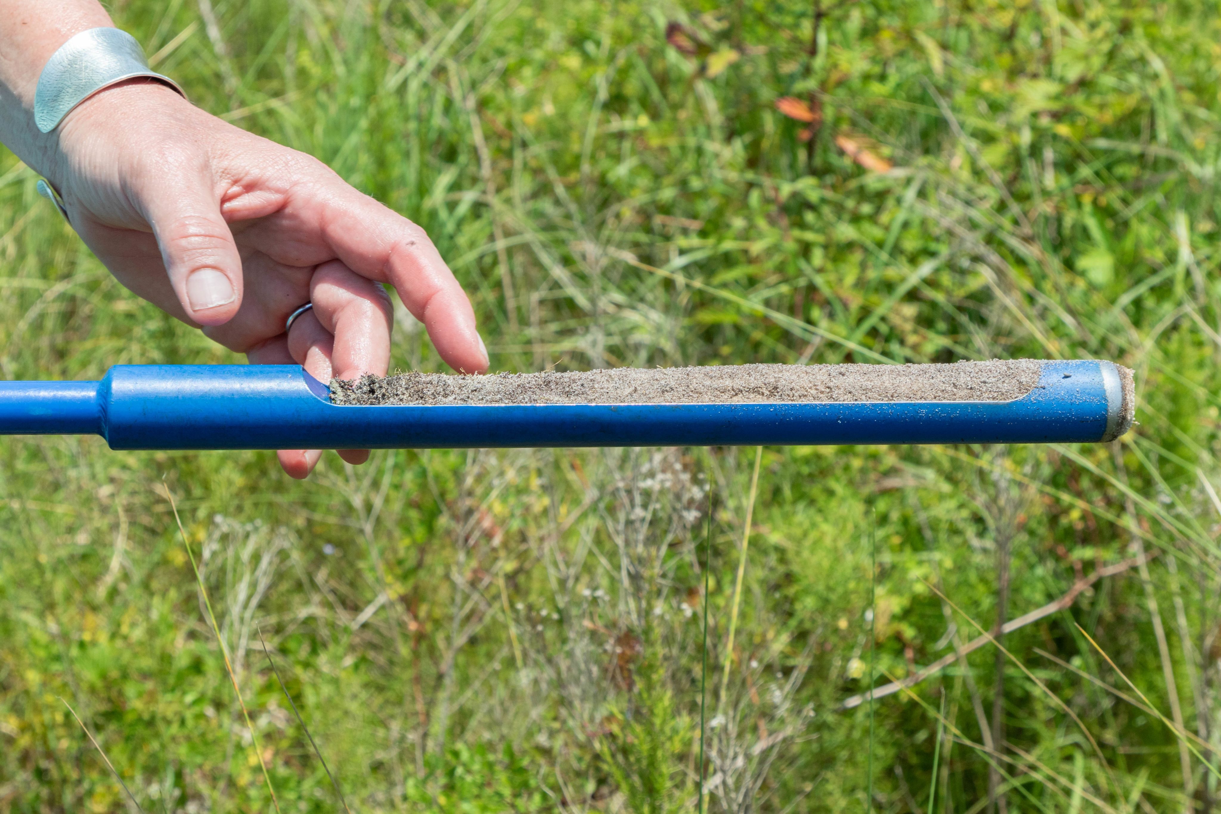 in a grassy field, a hand points to a skinny blue device filled with soil