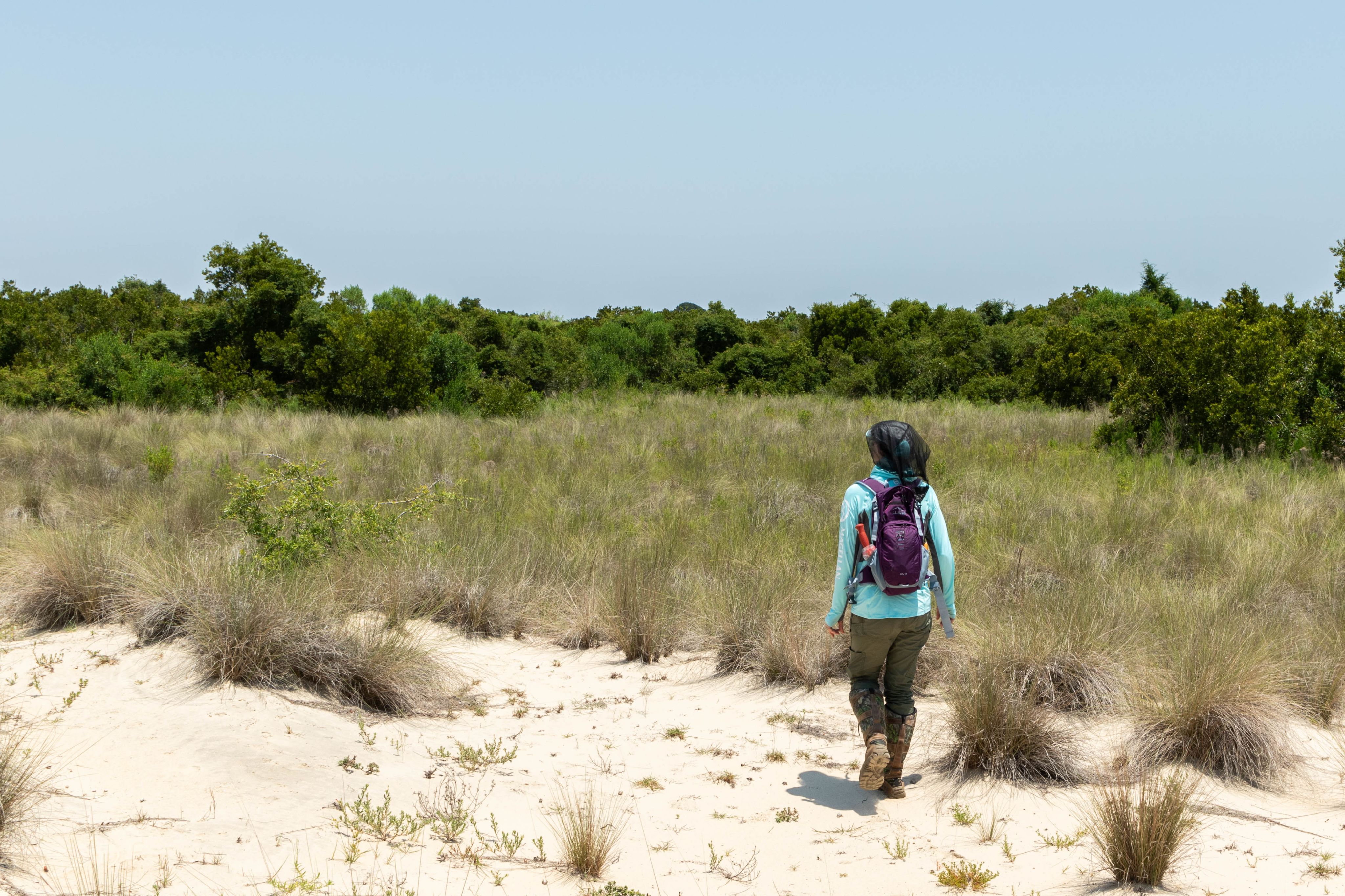 a woman walks from a sandy area outside into a field of grass